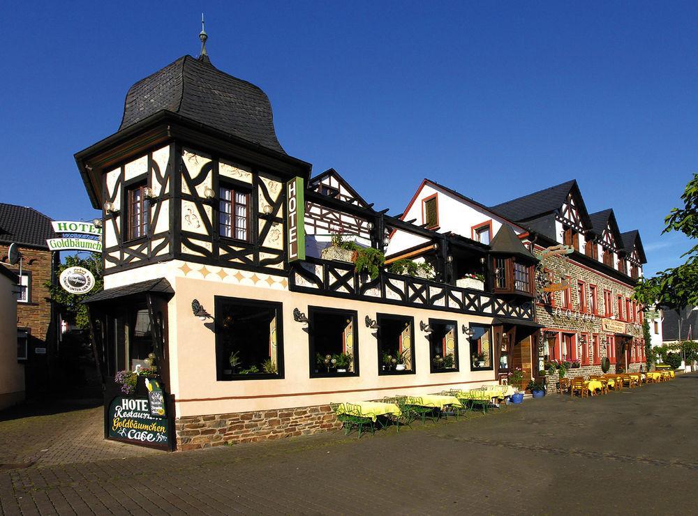 Hotel Ellenzer Goldbaeumchen Extérieur photo